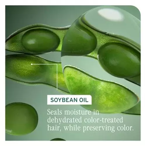 Color Last Shampoo - Biolage Renovation NZ | L'Or&eacute;al Partner Shop